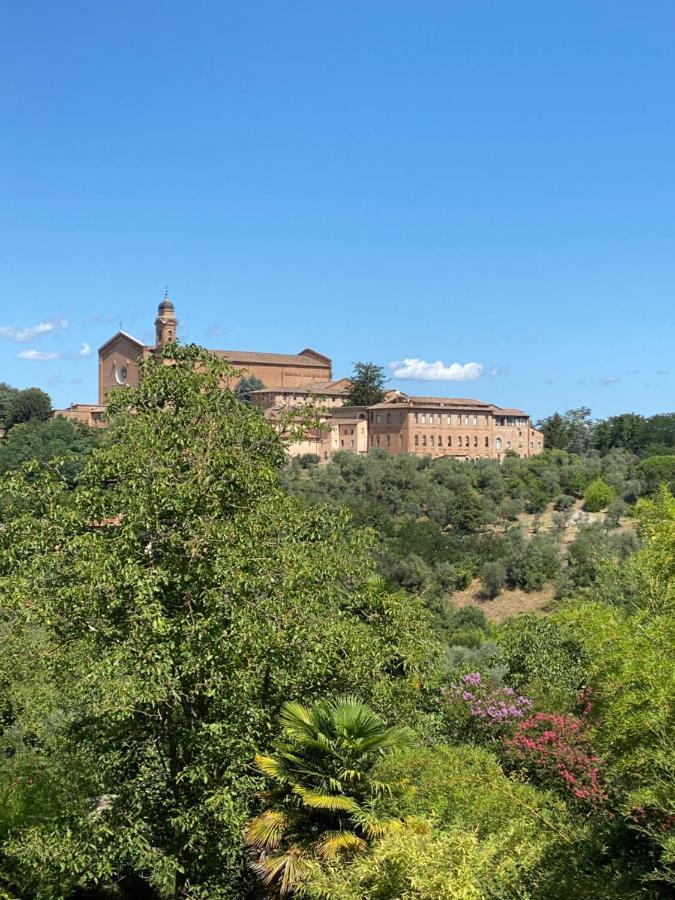 Bed & Breakfast Palazzo Bruchi *